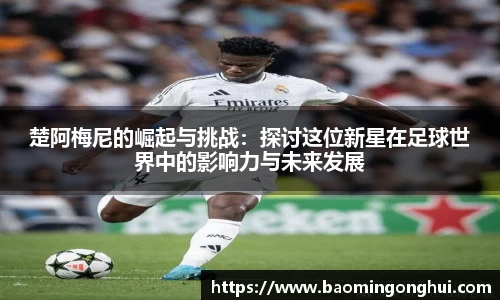 bsports官网入口