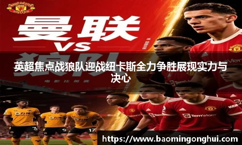 bsports官网入口