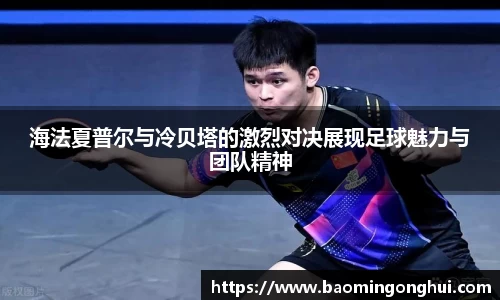 bsports官网入口