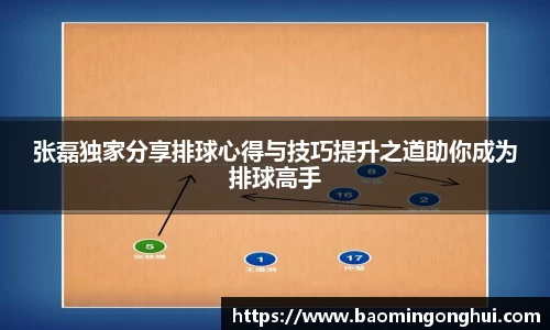 张磊独家分享排球心得与技巧提升之道助你成为排球高手